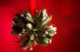 Mistletoe Madness Murder Mystery