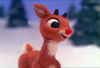 rudrendeer